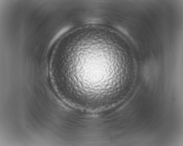 X0000082141317200701262232