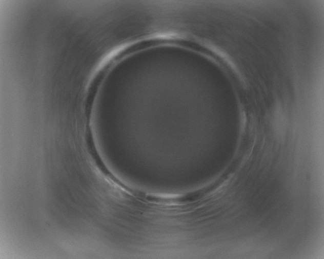 X0000082141319200701262232