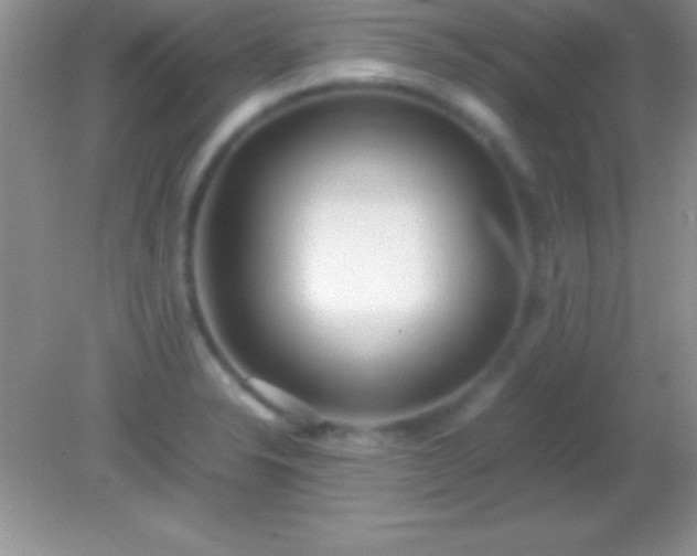X0000082141326200701262232