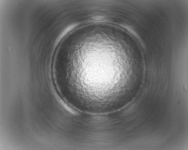 X0000082141333200701262232