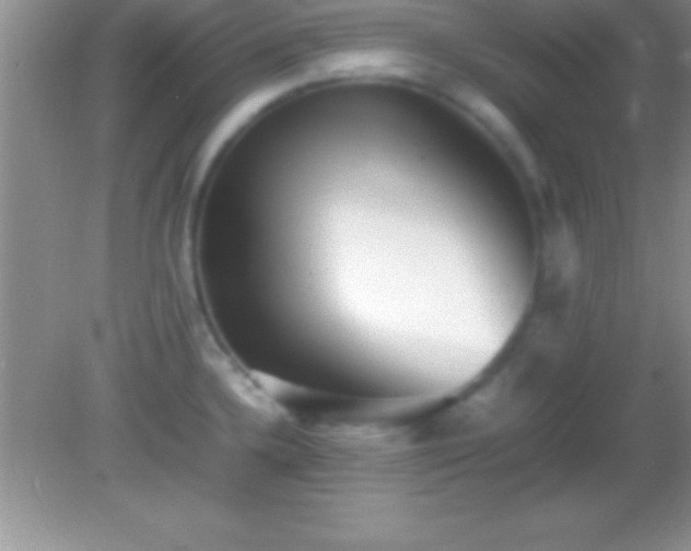 X0000082141336200701262233