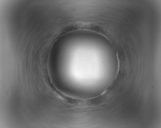 X0000082141345200701262232