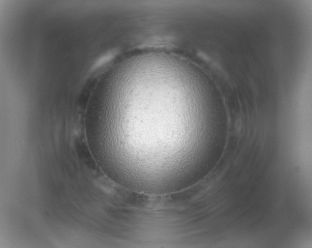 X0000082141350200701262232