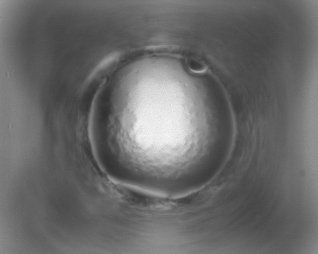 X0000082141351200701262232