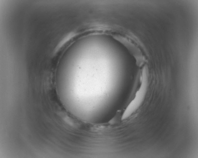 X0000082141352200701262232