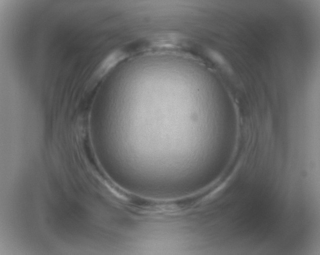 X0000082141353200701262232