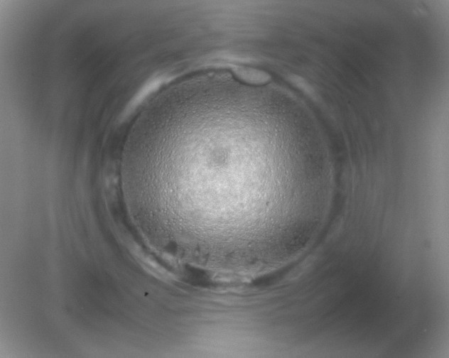 X0000082141355200701262232