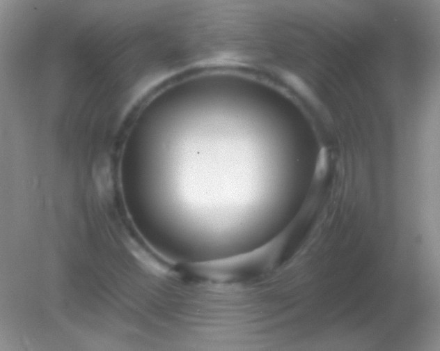 X0000082141356200701262232