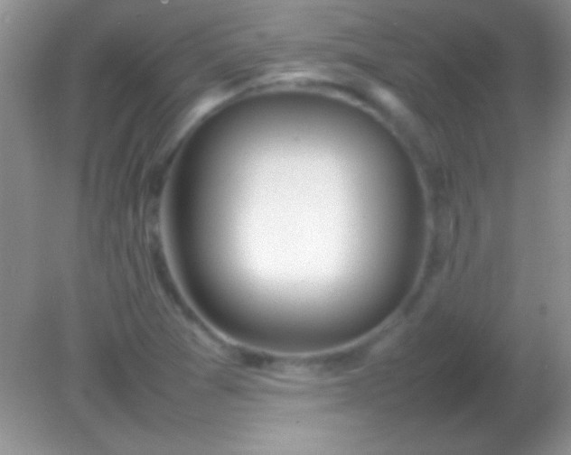 X0000082141361200701262232