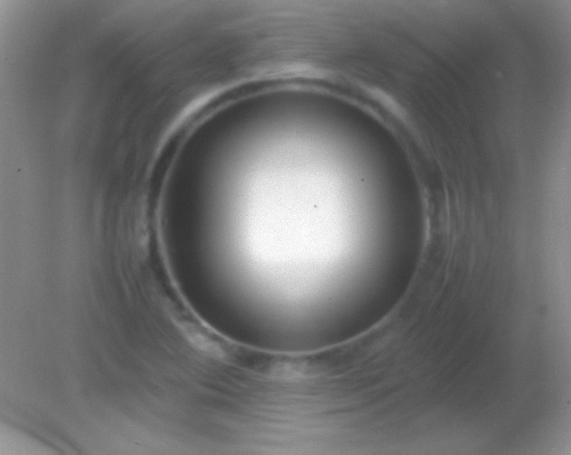 X0000082141364200701262232