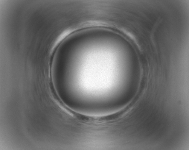 X0000082141365200701262232