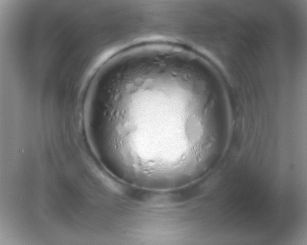 X0000082141367200701262231