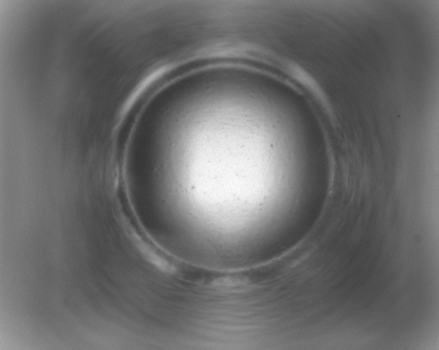 X0000082141368200701262231