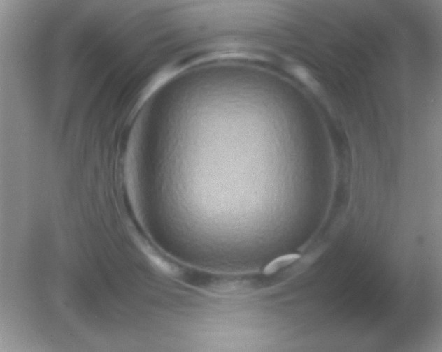 X0000082141369200701262231