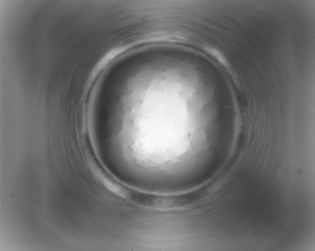 X0000082141371200701262231