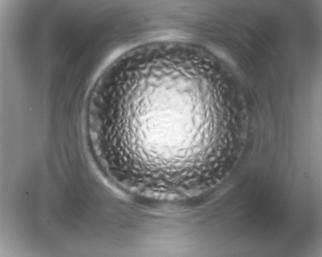 X0000082141375200701262231