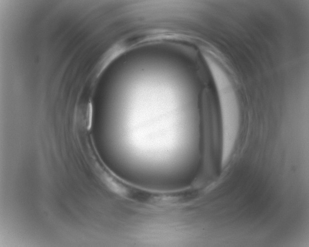 X0000082141377200701262231