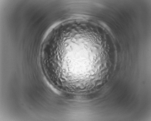 X0000082141379200701262231