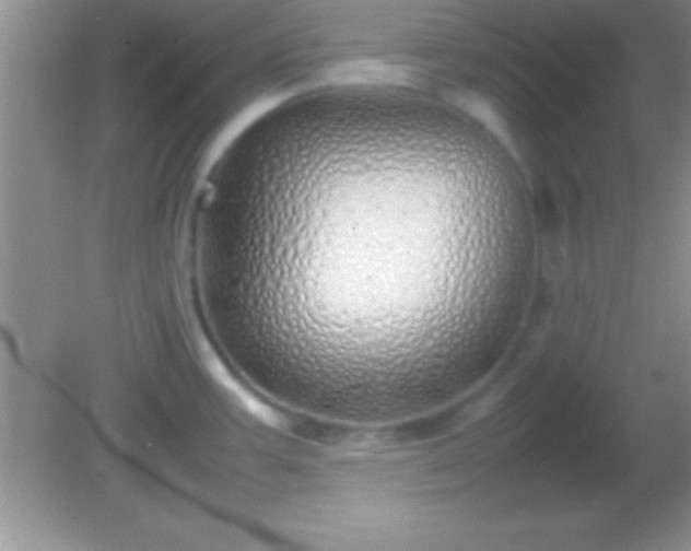 X0000082141387200701262231