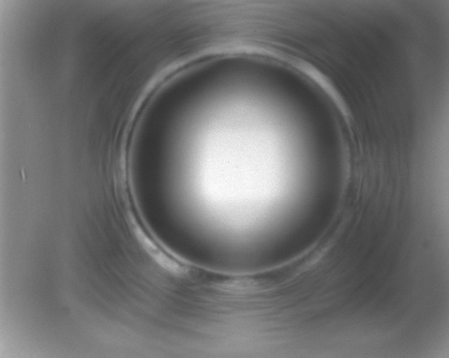 X0000082141388200701262231