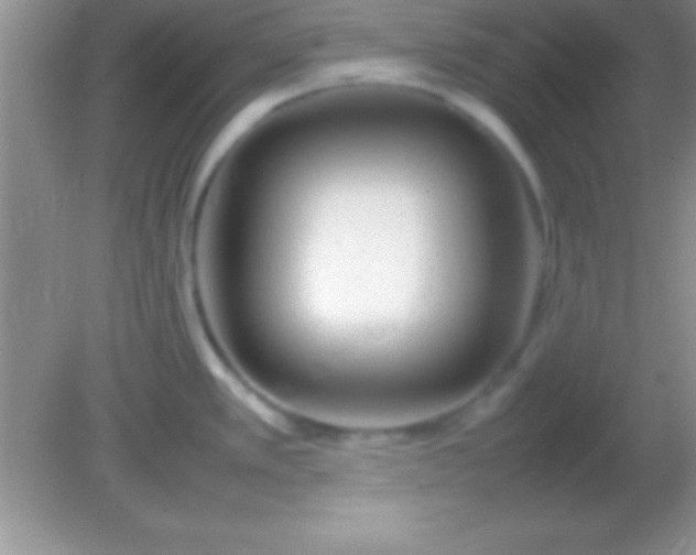 X0000082141389200701262231