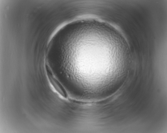 X0000082141390200701262231