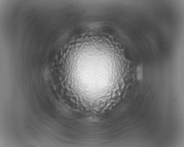 X0000082141395200701262230
