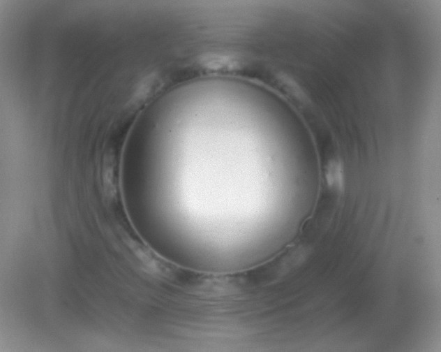 X0000082141396200701262230