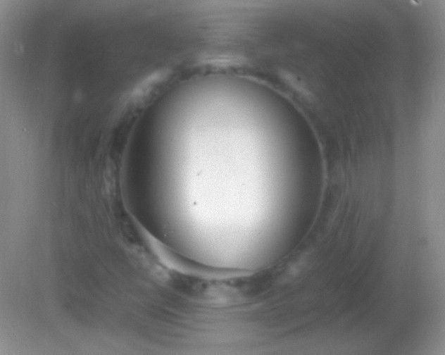 X0000082141398200701262230