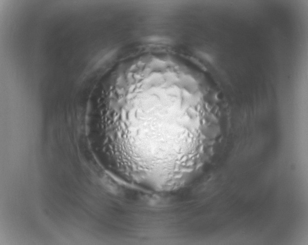 X0000082141399200701262230
