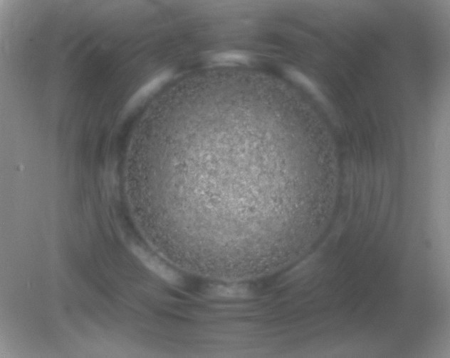 X0000082141403200701262230