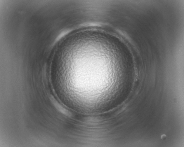 X0000082141404200701262230