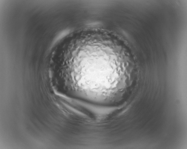 X0000082141405200701262230