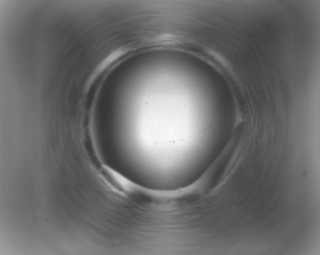 X0000082141410200701262231