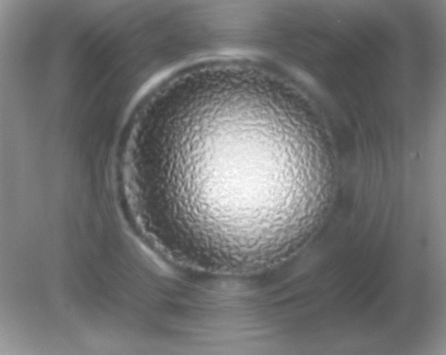 X0000082141412200701262231