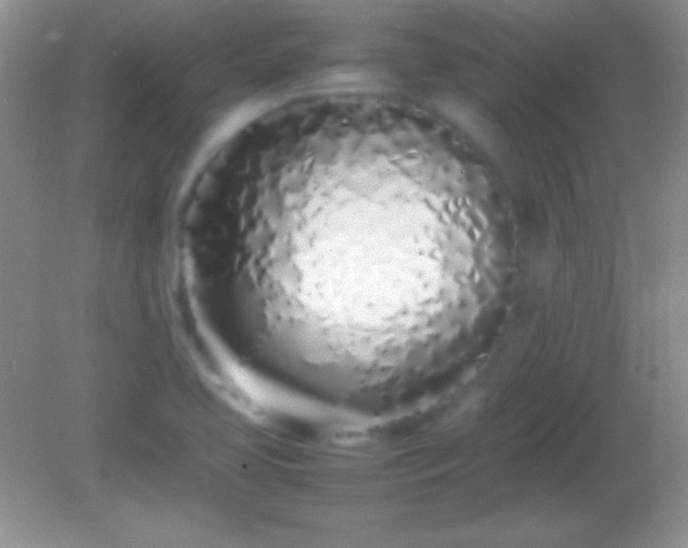X0000082141413200701262231