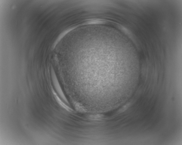 X0000082141417200701262231