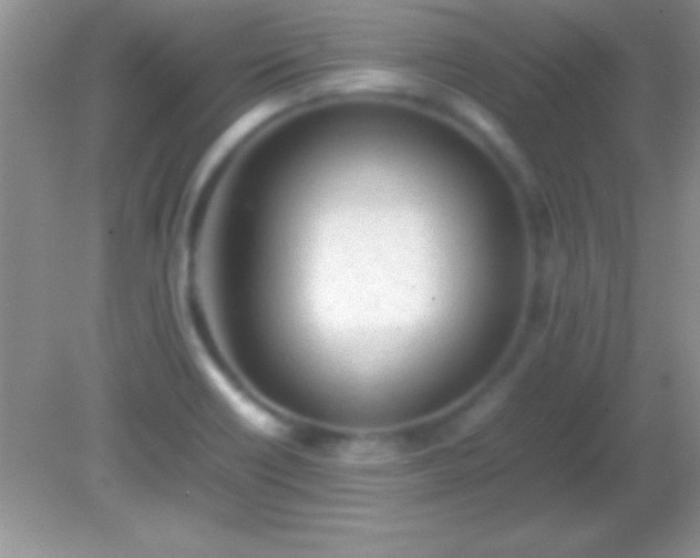 X0000082141418200701262231