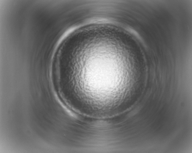 X0000082141424200701262231