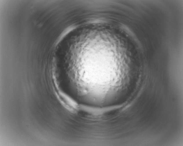 X0000082141425200701262231