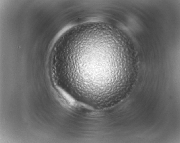X0000082141427200701262231