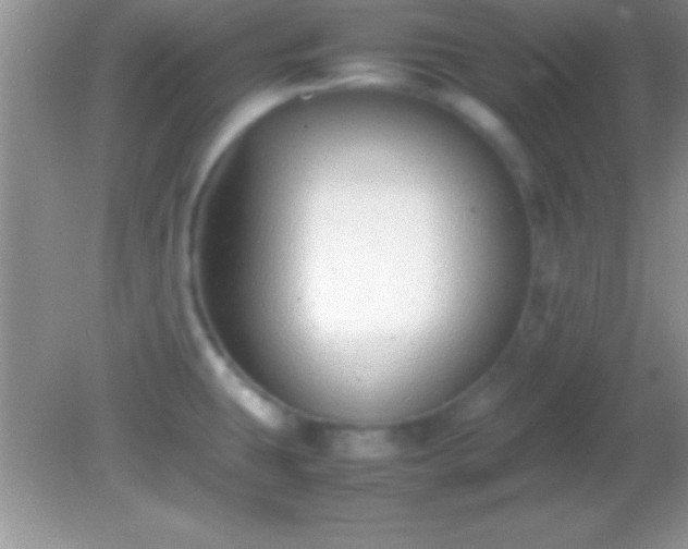 X0000082141431200701262231
