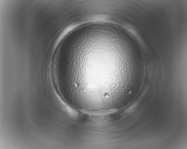X0000082141432200701262231
