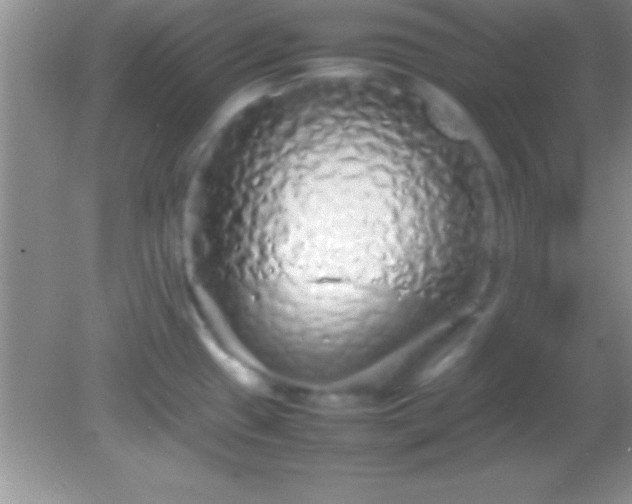X0000082141433200701262231