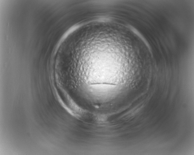 X0000082141437200701262231