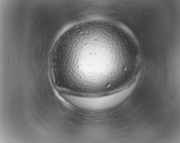 X0000082141439200701262231