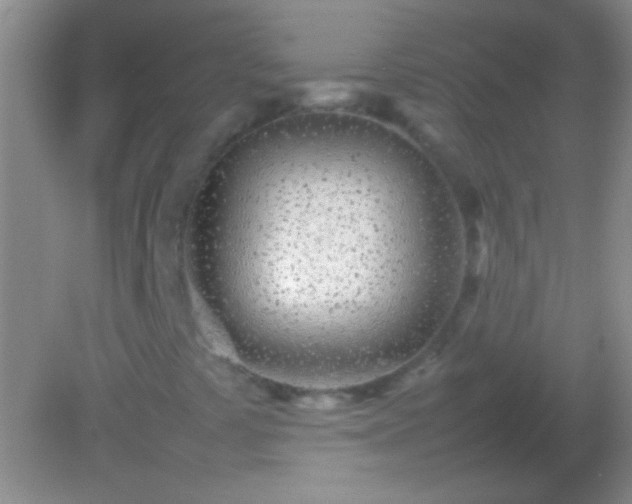X0000082141441200701262230