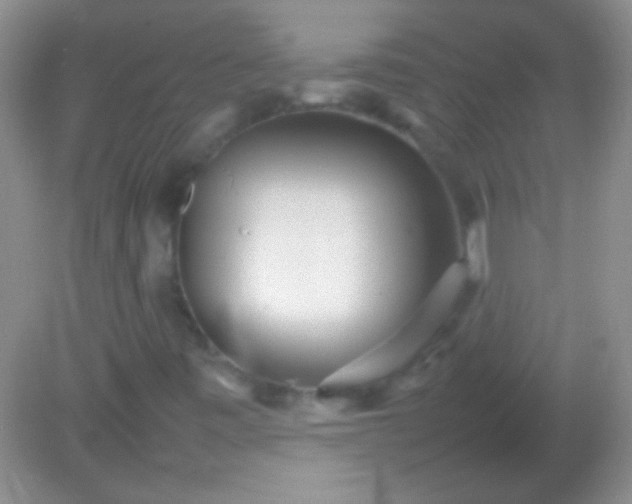 X0000082141443200701262230