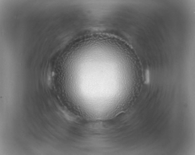 X0000082141444200701262230