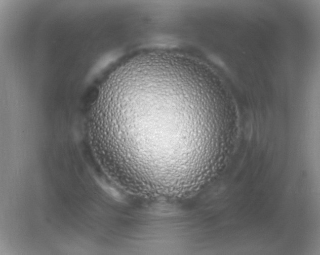 X0000082141448200701262230